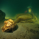 Illustration for article titled See the Submerged Ruins of Cleopatras Palace in Egypts Underwater Museum